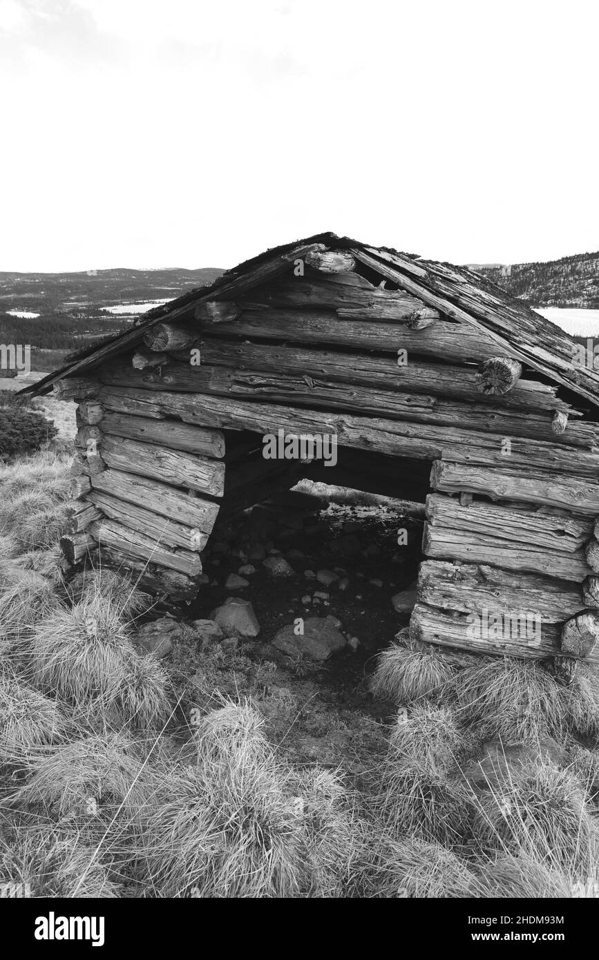 Altes, heruntergekommenes Blockhaus in einem Berggebiet in Hallingdal Norwegen. Stockfoto