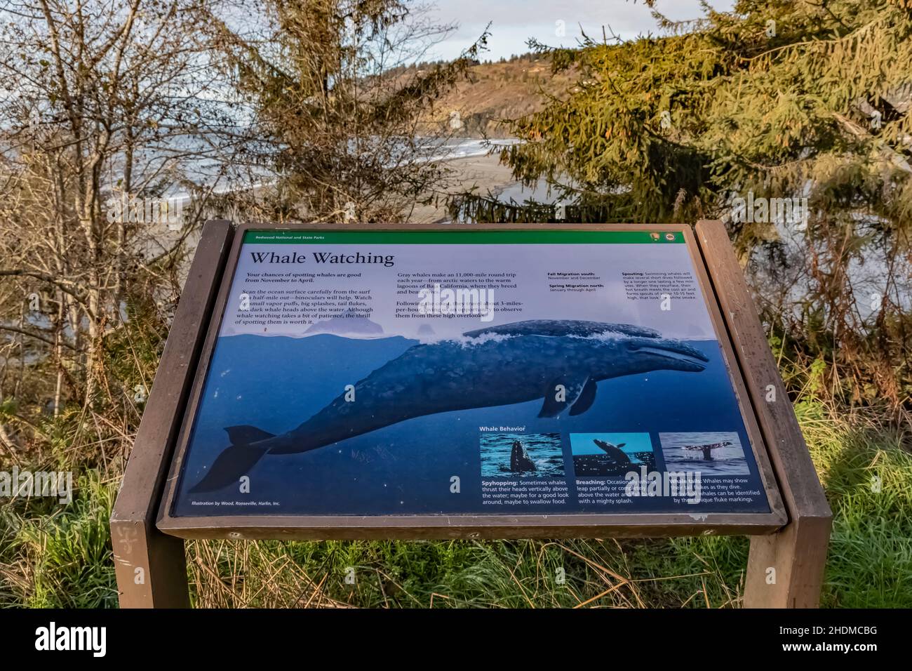 Whale Watching interpretative sign near mouth of Klamath River in Redwood National and State Parks, California, USA Stockfoto