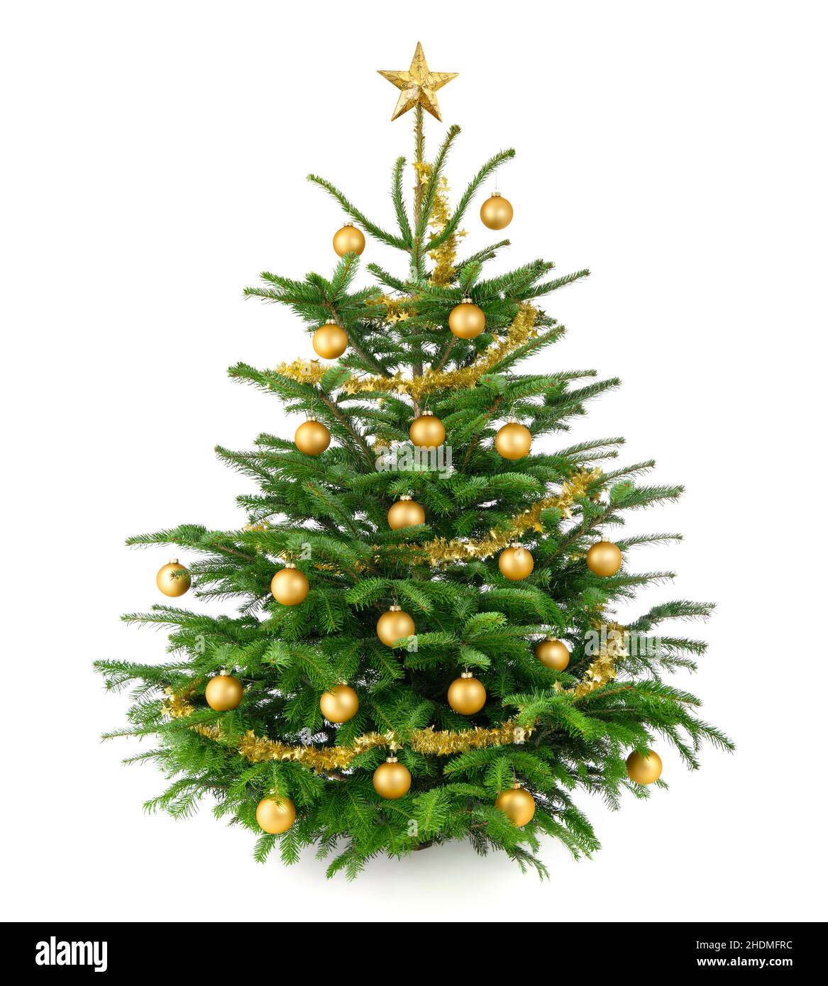 weihnachten, weihnachtsbaum, fröhliche weihnachten, x-mas, xmas, Weihnachtsbäume Stockfoto