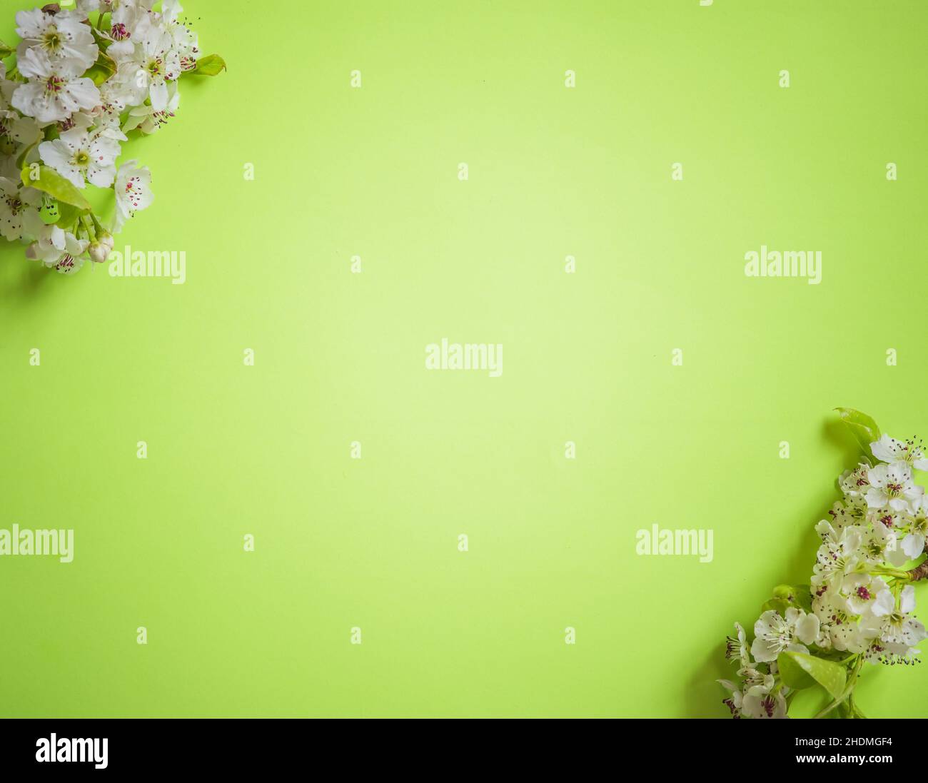 Happy Mother's Day Frühling Blumen Hintergrund mit Platz für Text kopieren Stockfoto