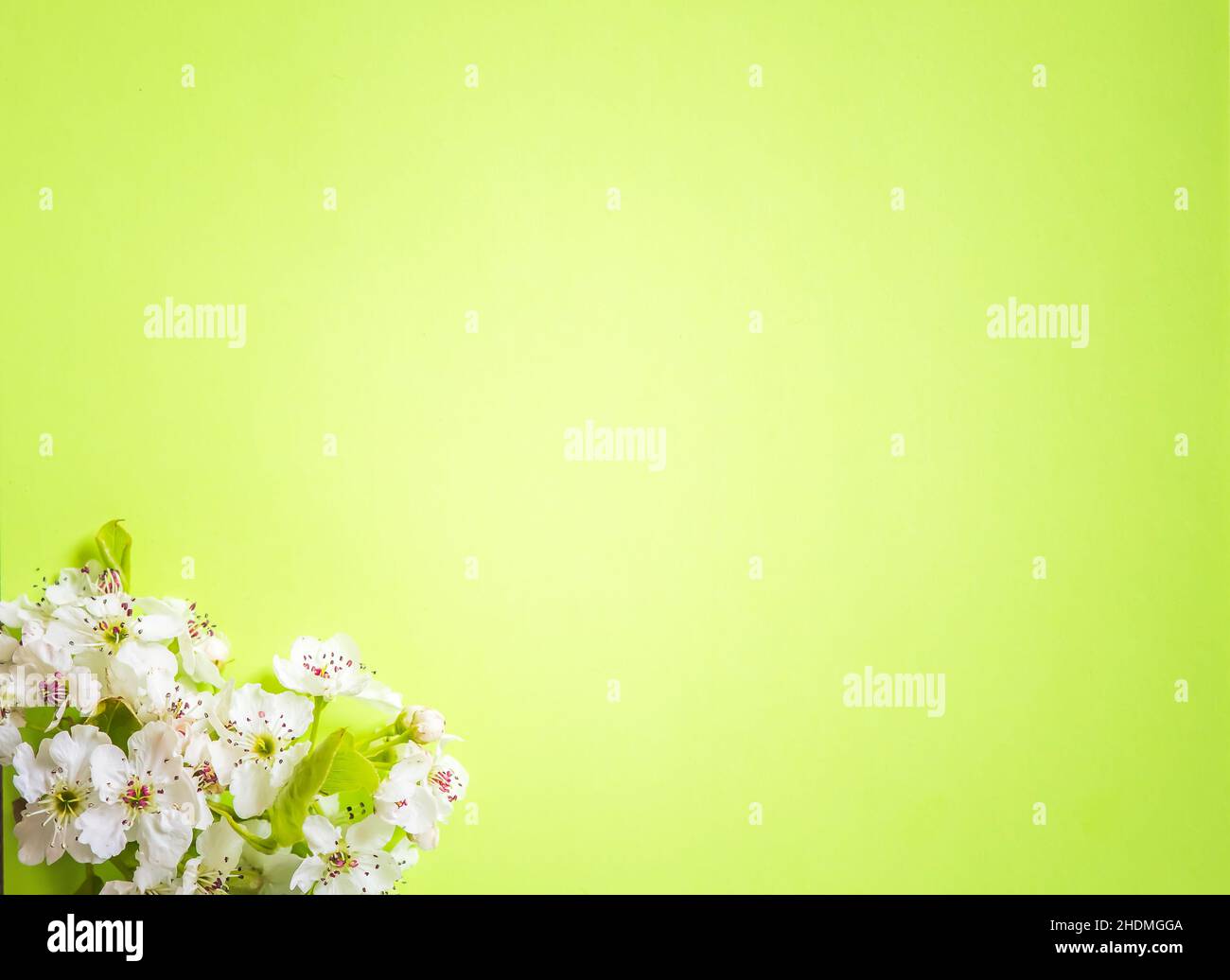 Happy Mother's Day Frühling Blumen Hintergrund mit Platz für Text kopieren Stockfoto