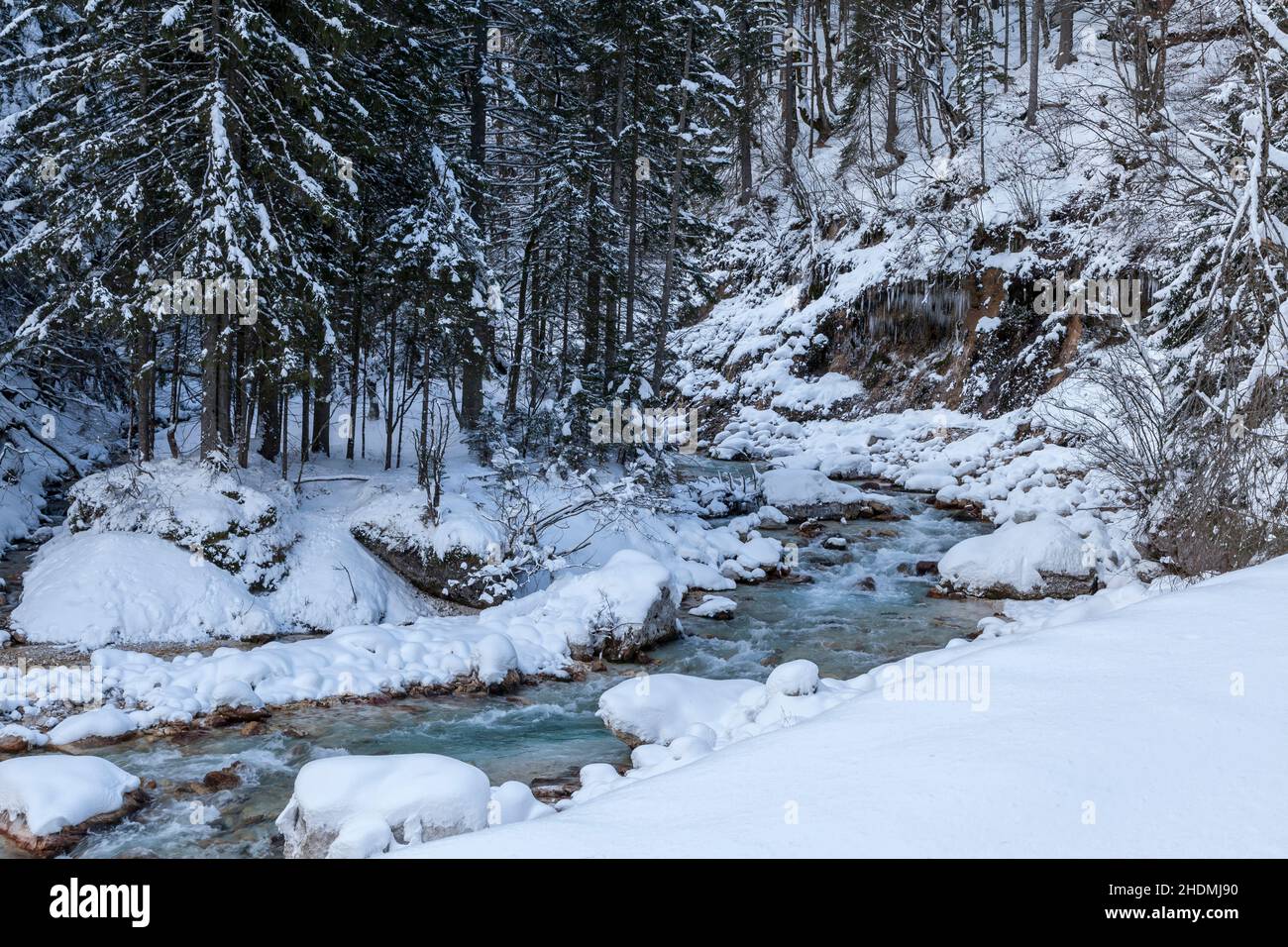 Bergbach, slowenien, Nationalpark triglav, Gebirgsbäche, slowenien Stockfoto