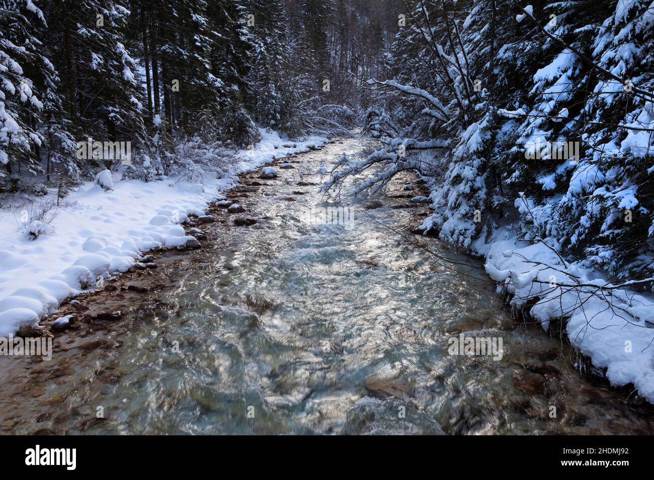 Natur, Bergbach, Nationalpark triglav, Natur, Natur, Gebirgsbäche Stockfoto