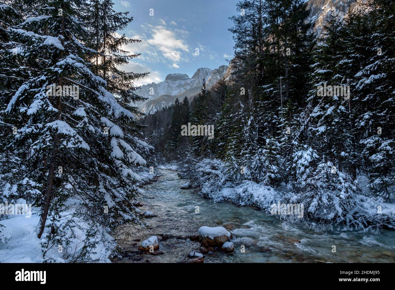 Bergbach, Winterwald, Nationalpark triglav, Gebirgsbäche, Winterwälder Stockfoto