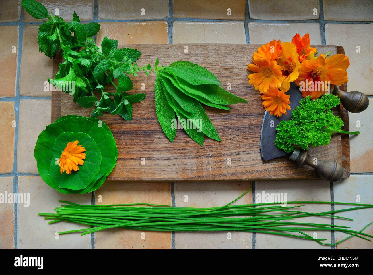 Gartenkraut, kulinarische Kräuter, Kräuter Stockfoto