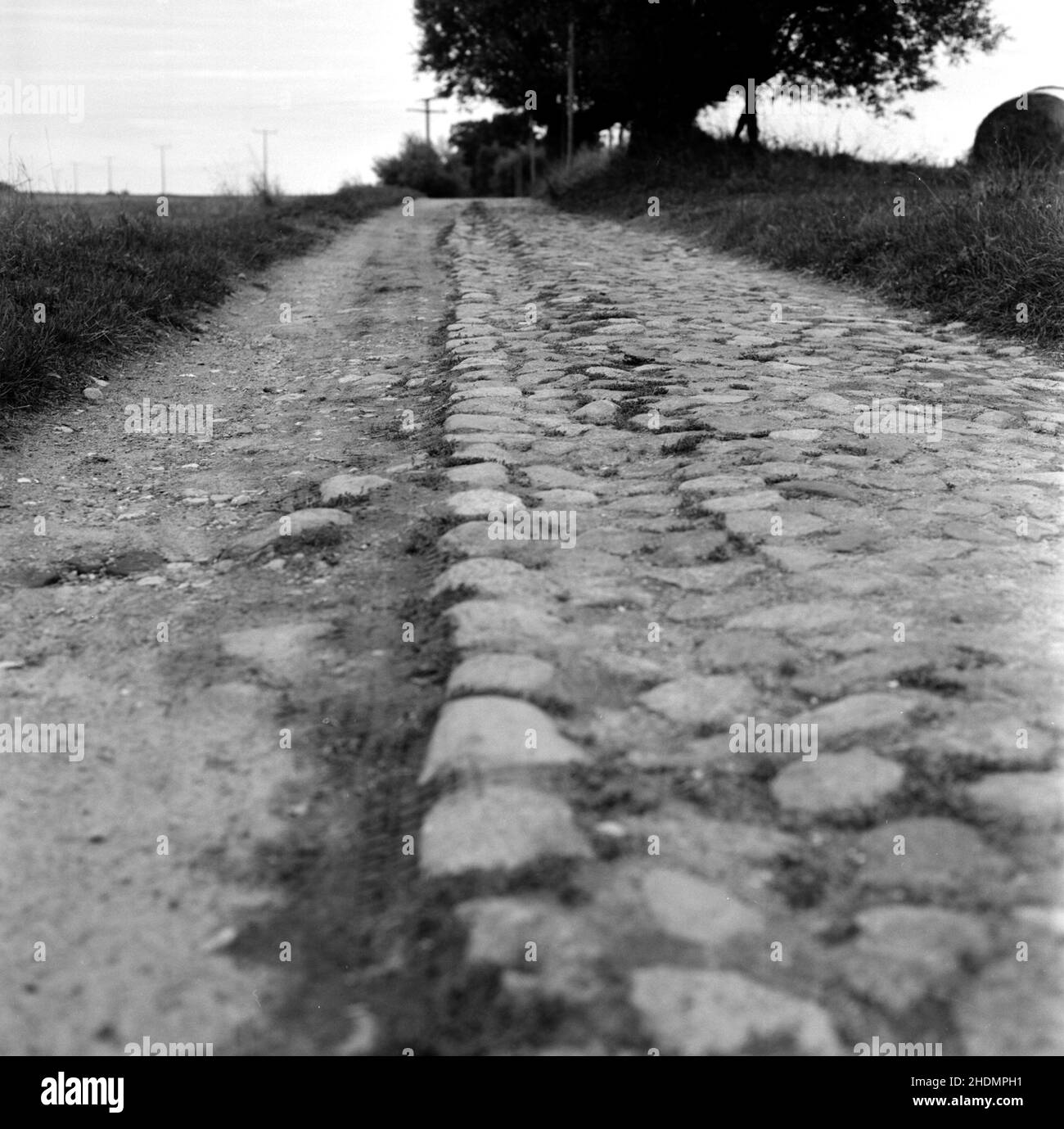 Fußweg, ländliche Szene, Schmutz, Wanderwege, Land, Landleben, ländliche, ländliche Szenen, Dirts, Drets Stockfoto