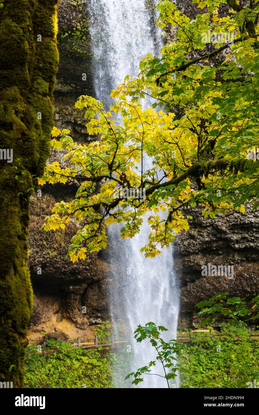 South Falls; Trail of Ten Falls; Silver Falls State Park; Oregon; USA Stockfoto