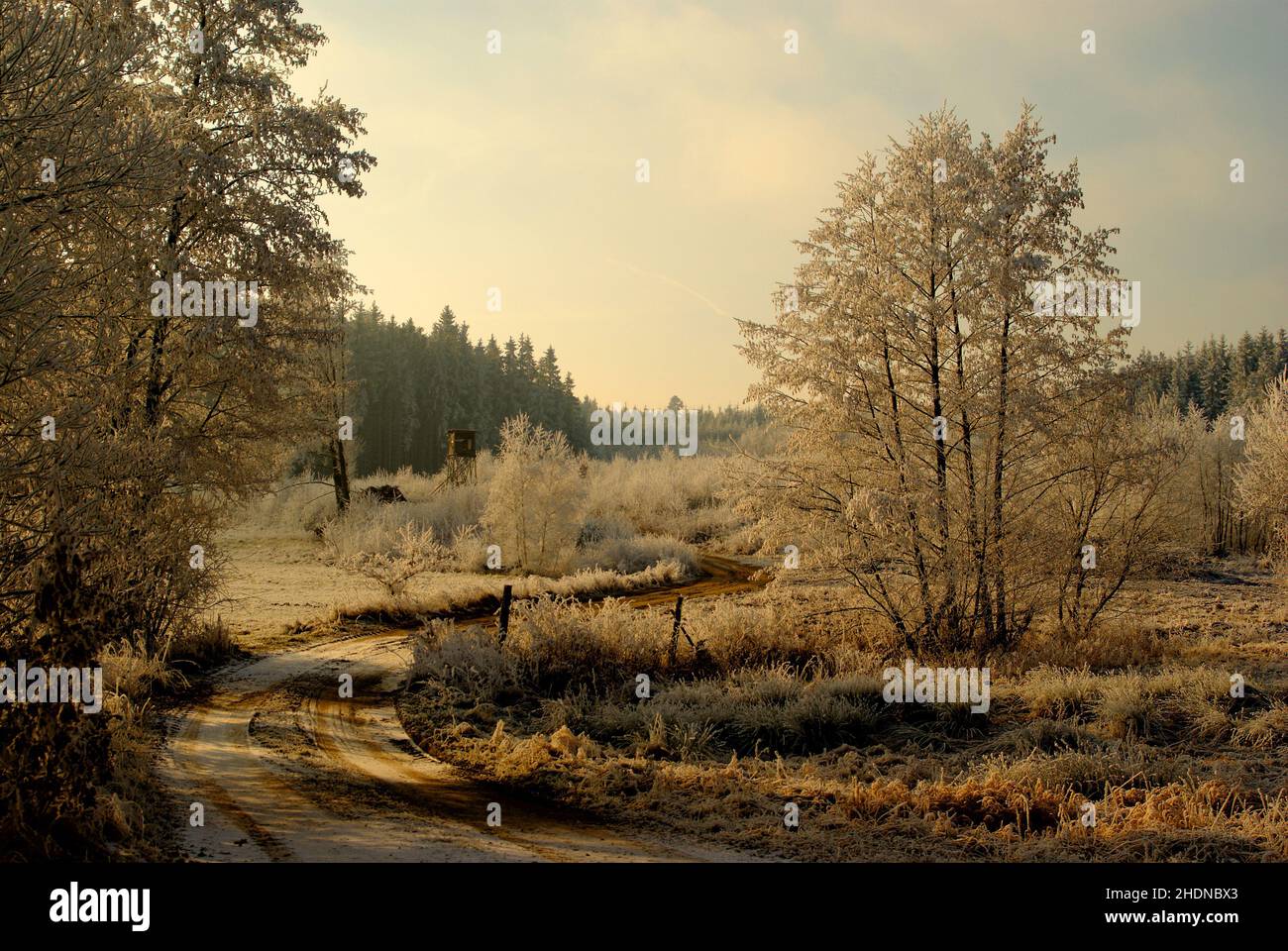 Landschaft, Winter, Pfad, Landschaften, ländlich, Ländliche Szene, Szene, Landschaft, Szenen, Winter, Pfade Stockfoto