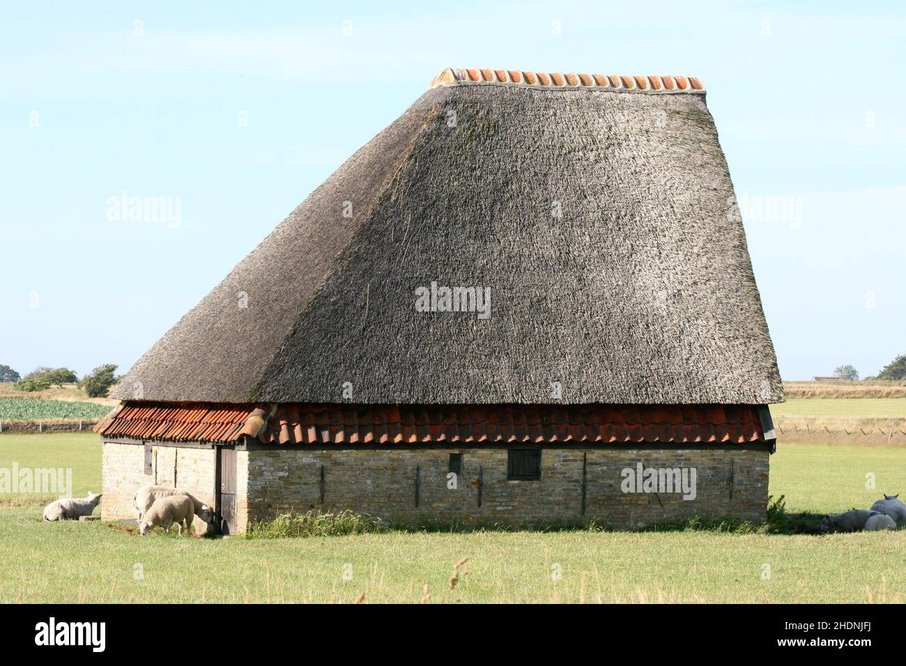 Schafstall Stockfoto