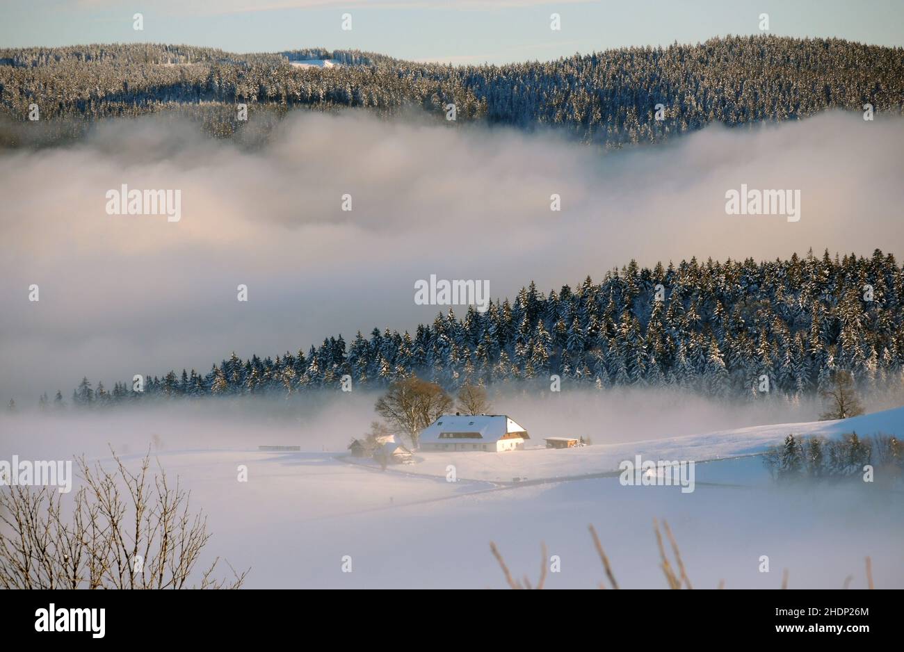Winter, Winterlandschaft, schauinsland, Winter, Landschaft, Landschaften, Winterlandschaften, schauinsland Stockfoto
