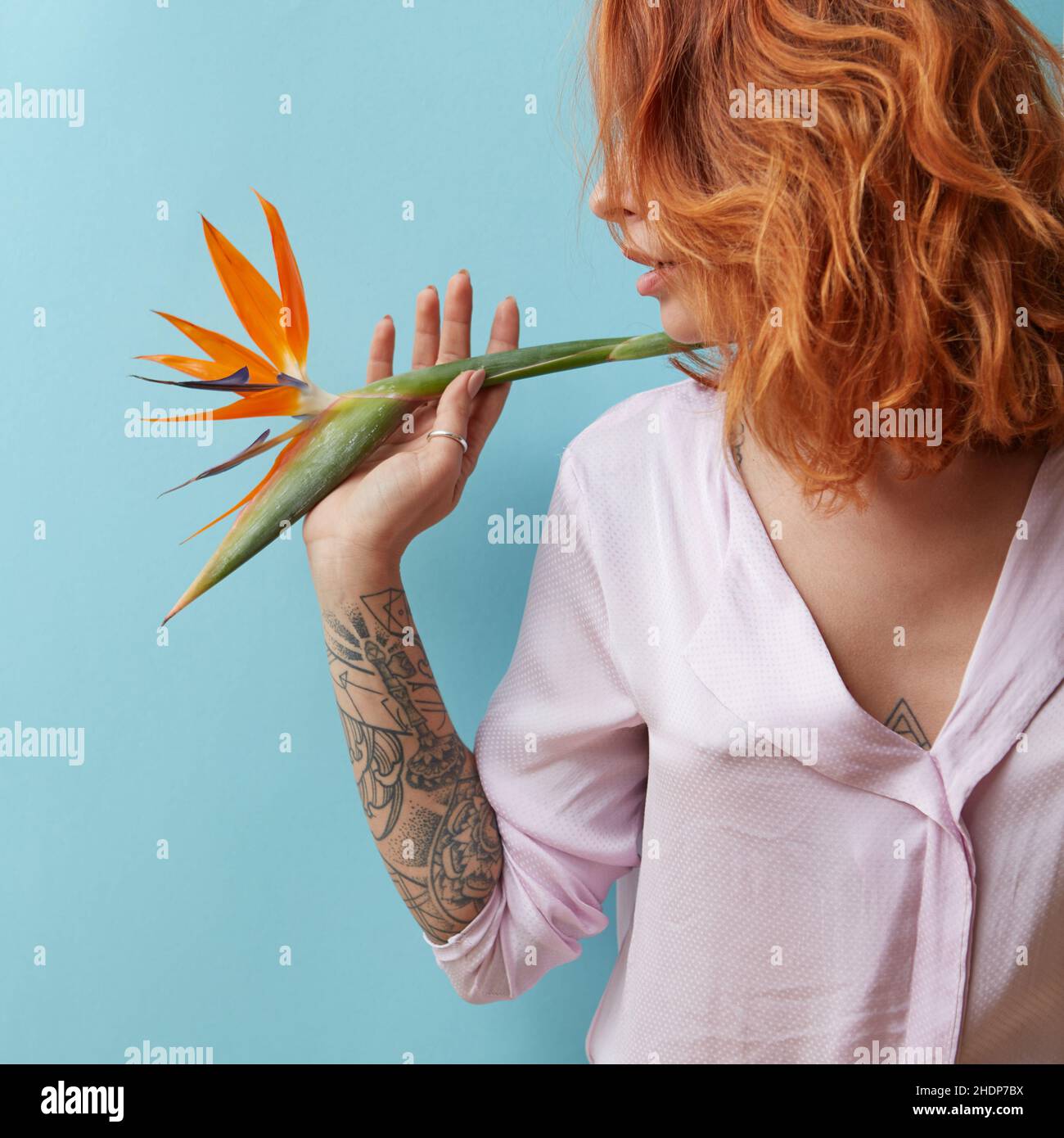 Frau, rote Haare, Paradiesvögel, Weibchen, Damen, dame, Frauen, rote Haare, Paradiesvögel Stockfoto