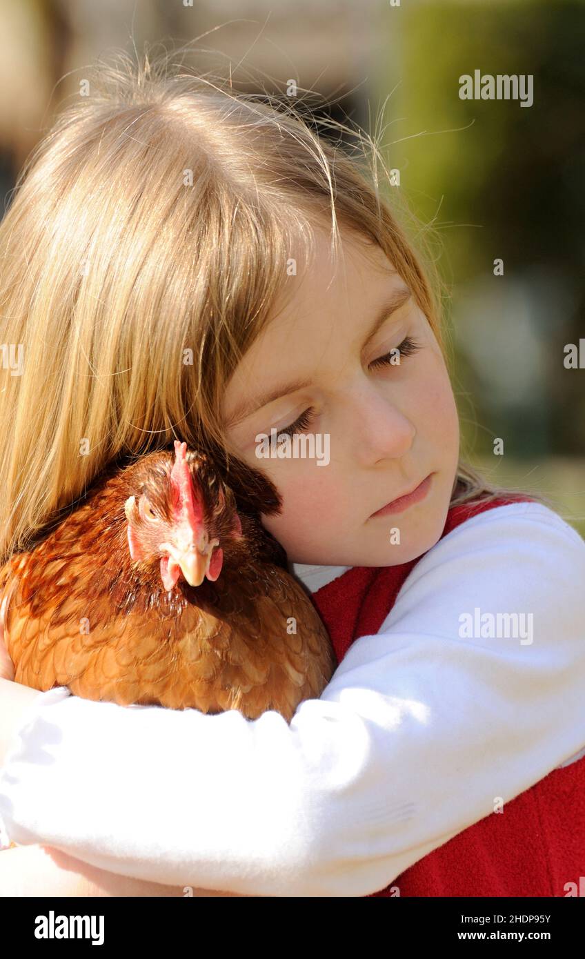 Kind, Huhn, Tierliebe, Kinder, Kinder, Kinder, Kinder, Hühner Stockfoto