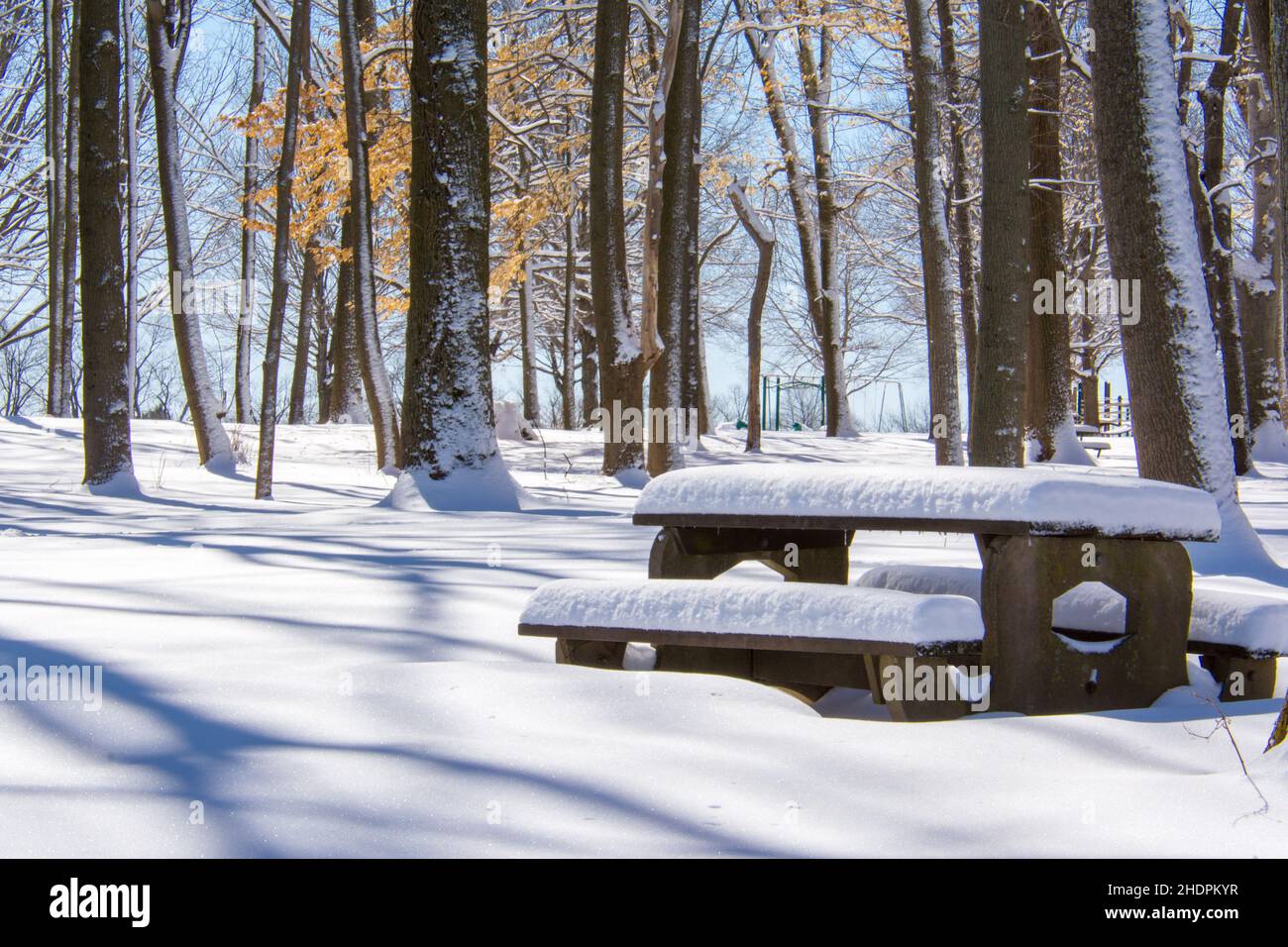 Winterlandschaft mit Schnee in Pennsylvania Stockfoto