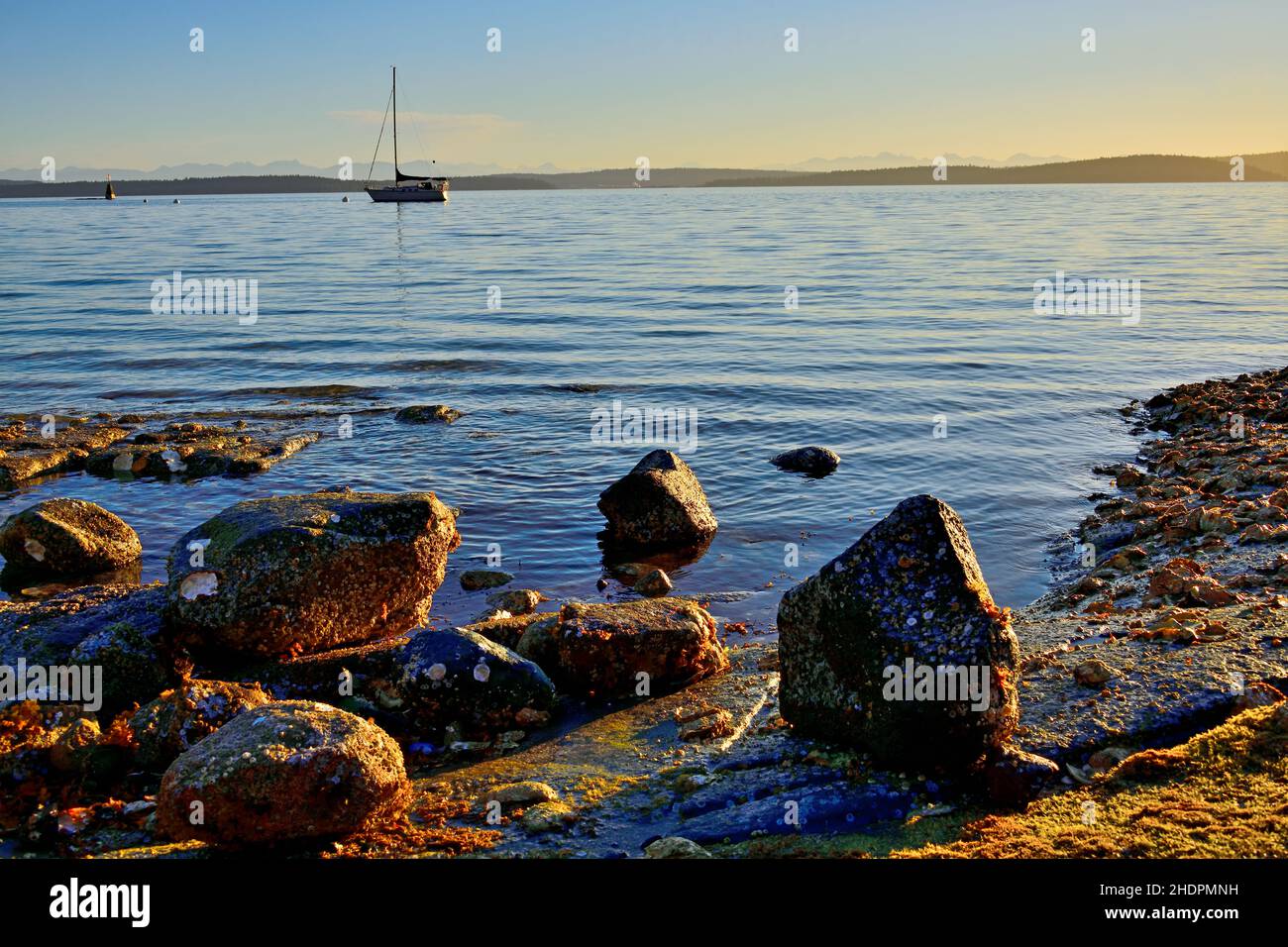 Große Felsen am Ufer von Vancouver Island warme Farbtöne, wenn die Sommersonne im Osten aufgeht Stockfoto