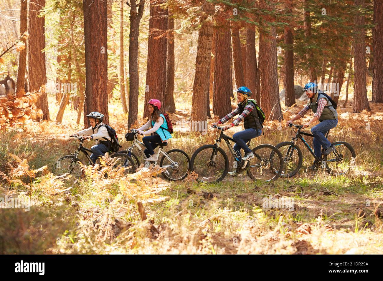 Radfahren, Fahrradtour, Familienausflug, Radtouren, Fahrradtour Stockfoto