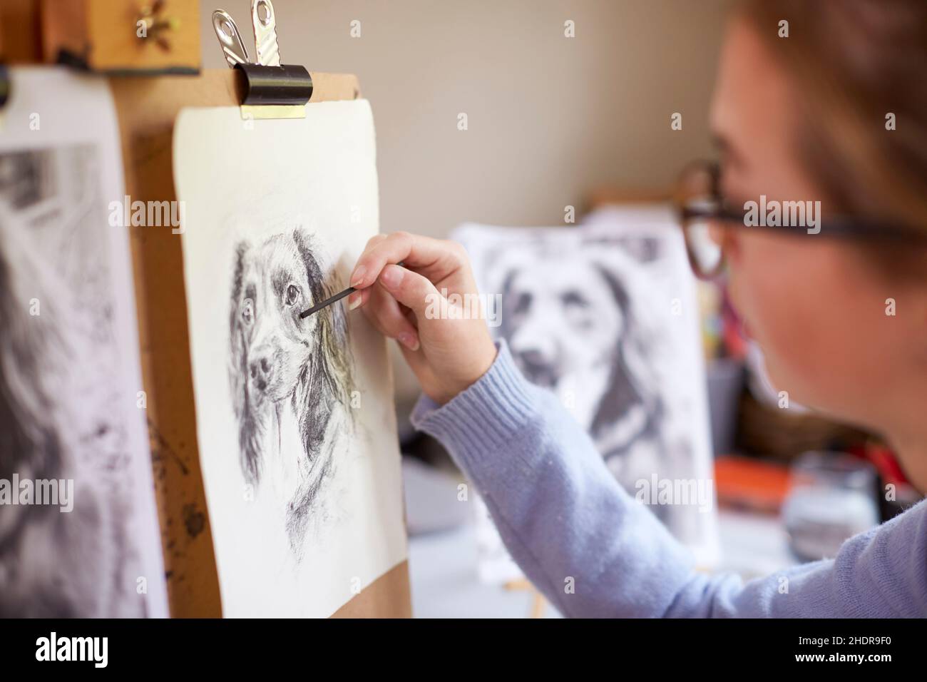 Hund, Zeichnung, Kohlestift, Hunde Stockfoto