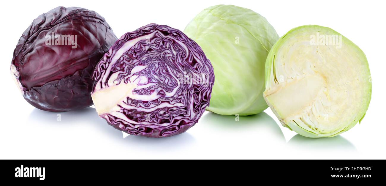 Weißkohl, Rotkohl, Weißkohl, Rotkohl Stockfoto