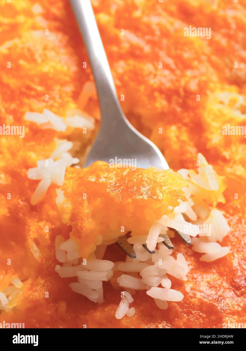 Auflauf, Gratin, Reisauflauf, Aufläufe, Gratin Stockfoto