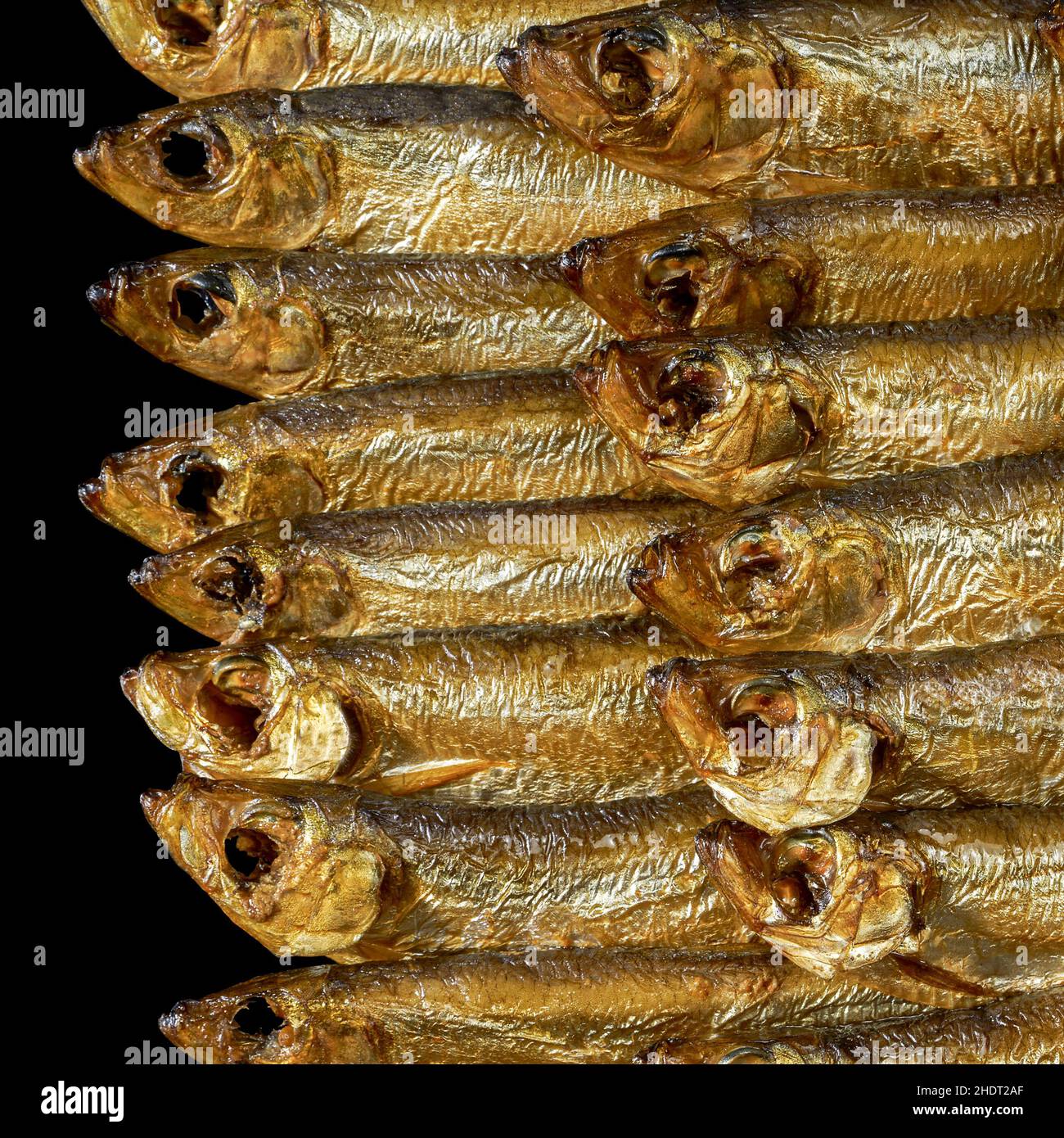Hering, geräucherter Fisch, Sprotte, Kipper, rigaer Sprossen, Sprossen Stockfoto