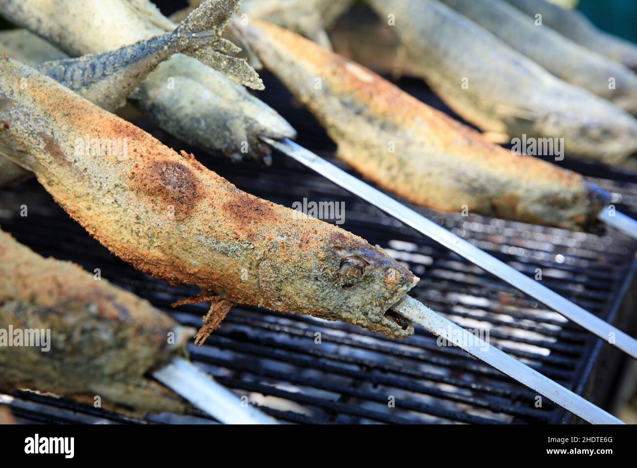 Brüten, zubereiteter Fisch, Makrelen, zubereitete Fische, Makrelen Stockfoto