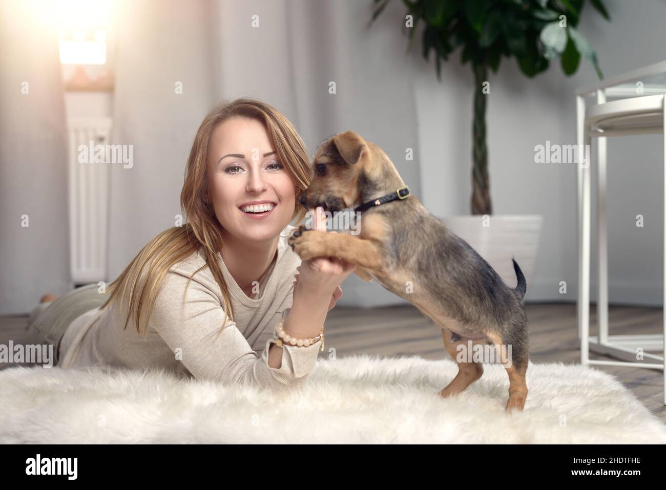 Frau, Haustiere, Hund, weiblich, Damen, dame, Frauen, Haustier, Hunde Stockfoto