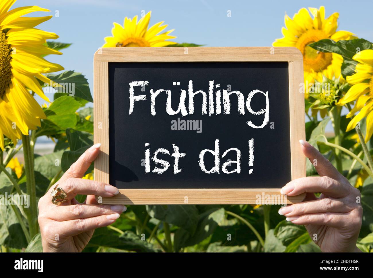 Frühling, Ankündigungsbotschaft, Frühfrühling, Ankündigungsbotschaften Stockfoto