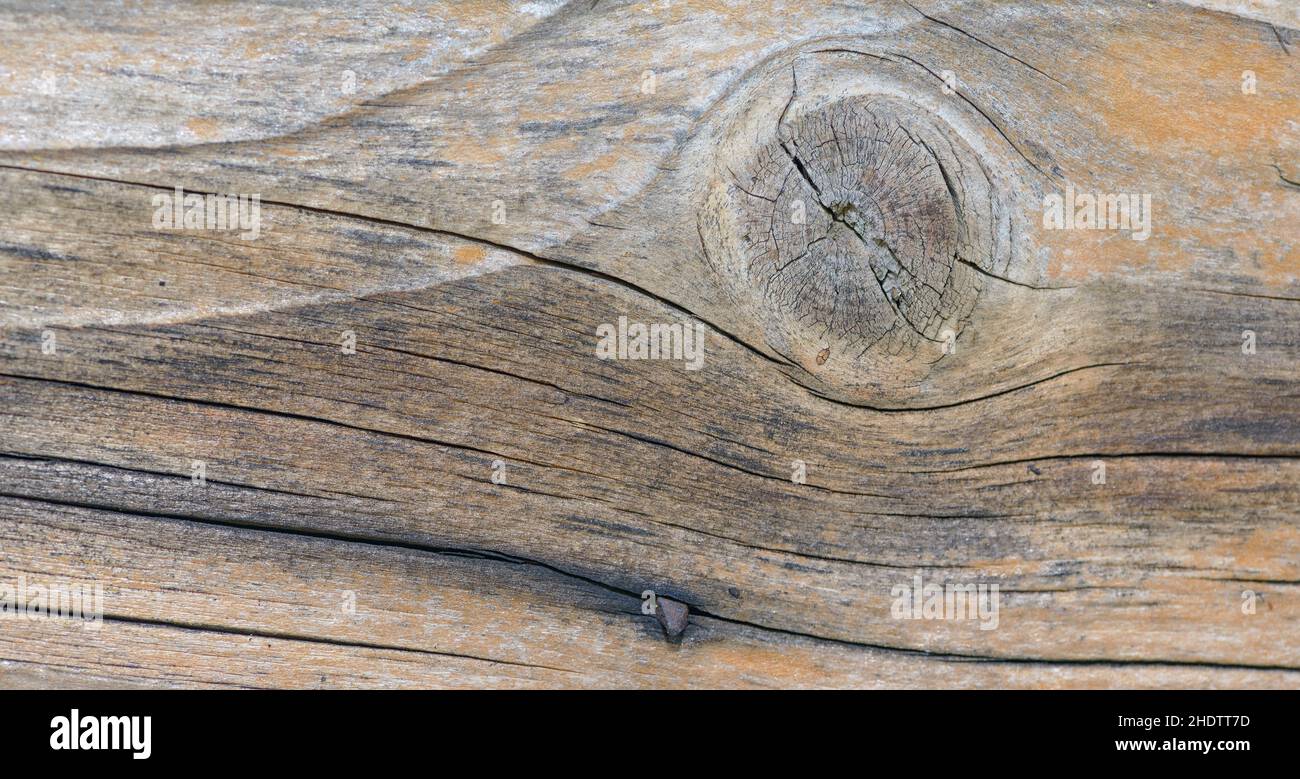 Holzmaserung, geknüpftes Holz, Holzmaserung, verknotete Hölzer Stockfoto