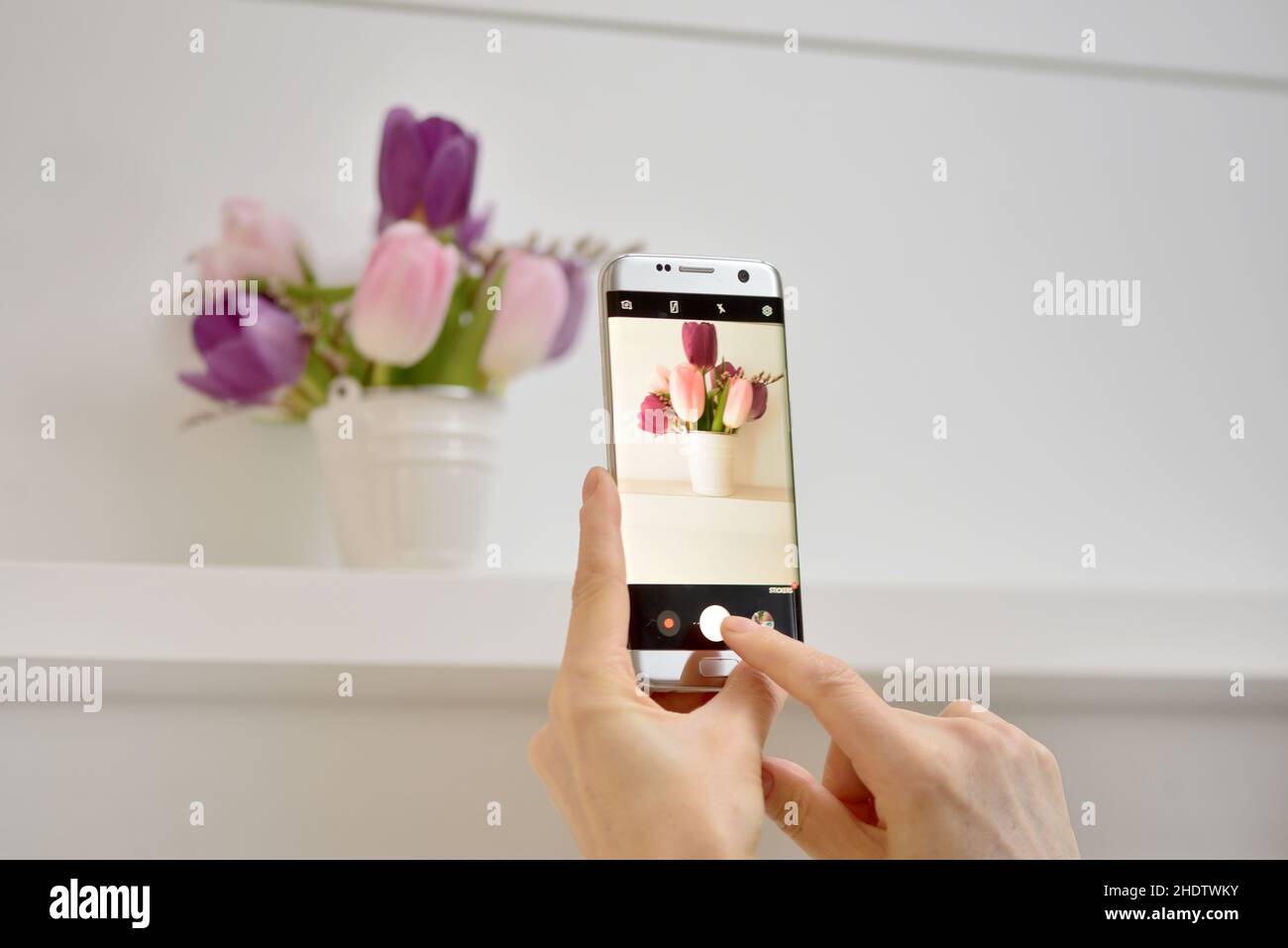 Tulpenstrauß, Fotografie, Tulpensträuße, Fotografien Stockfoto