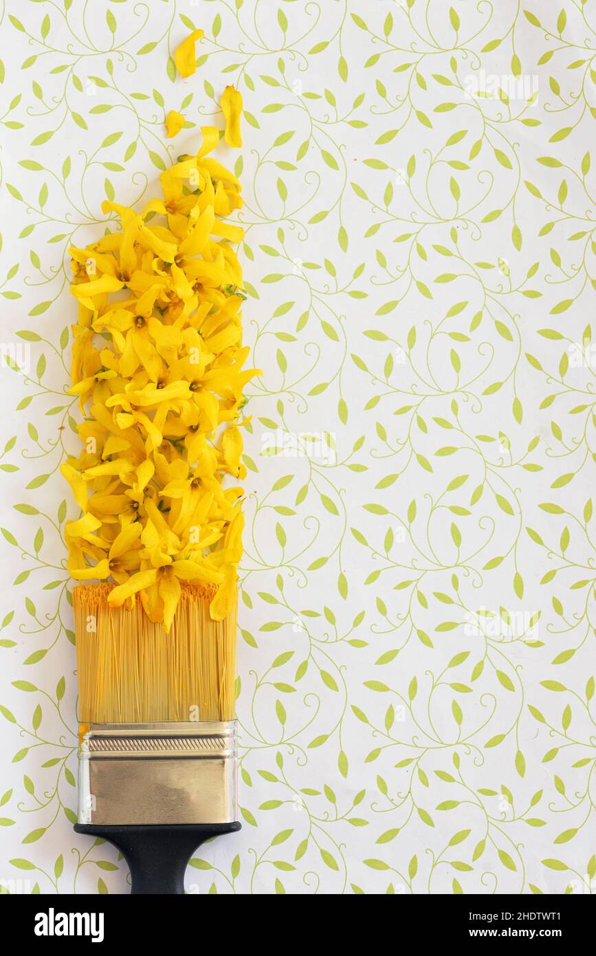 Muster, Farbe, Blumen, Muster, Farben, Blumen Stockfoto