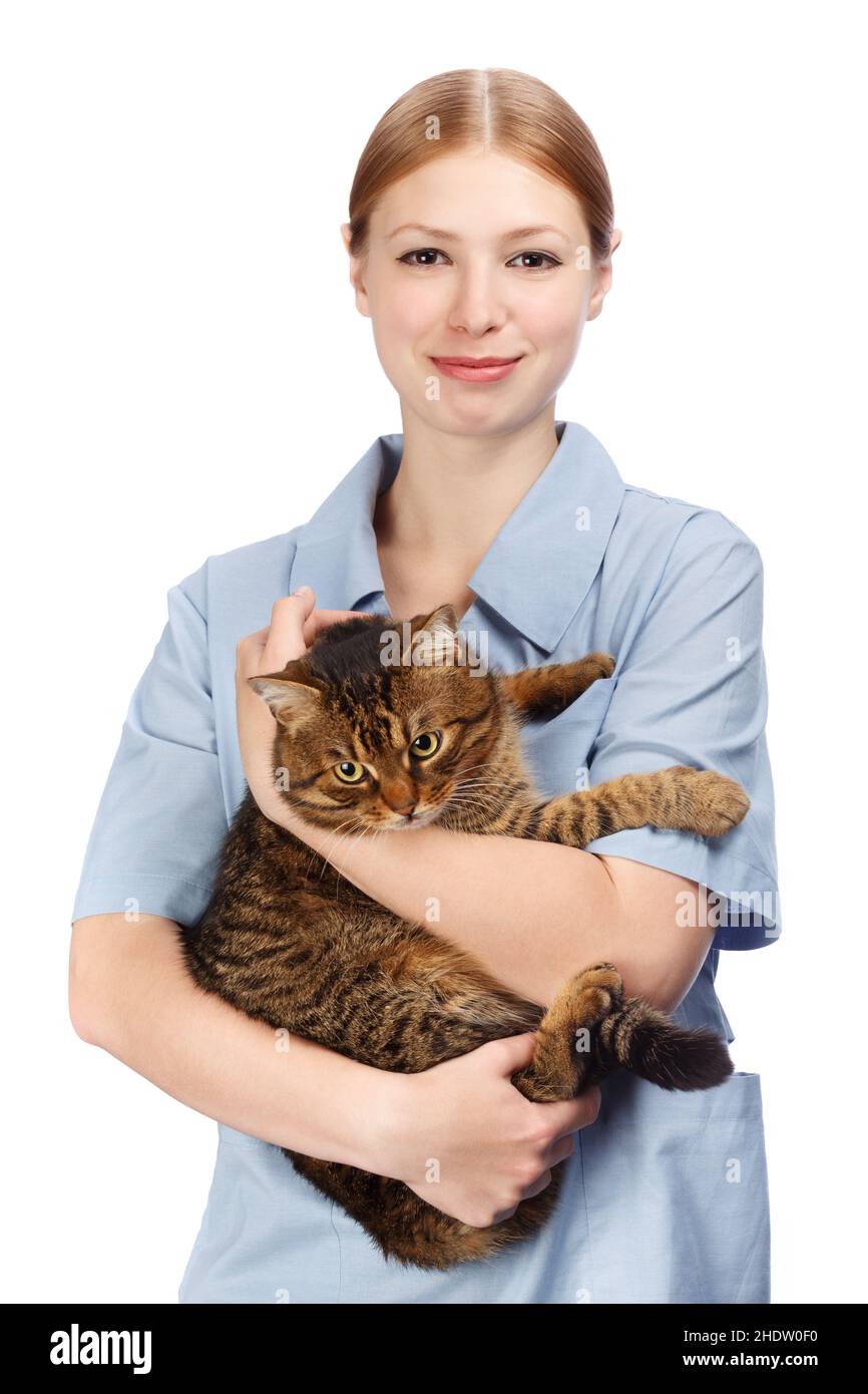 Tierarzt Für Katzen In Der Nähe 1 18 tierärzte -Fotos und -Bildmaterial in hoher Auflösung – Alamy