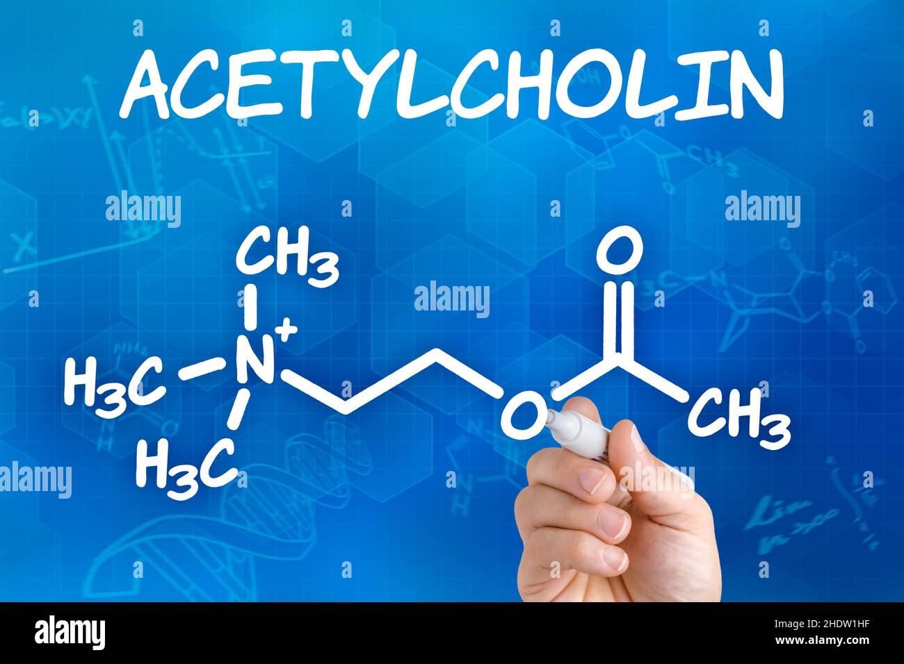 Formel, Neurotransmitter, Acetylcholin, Formeln Stockfoto