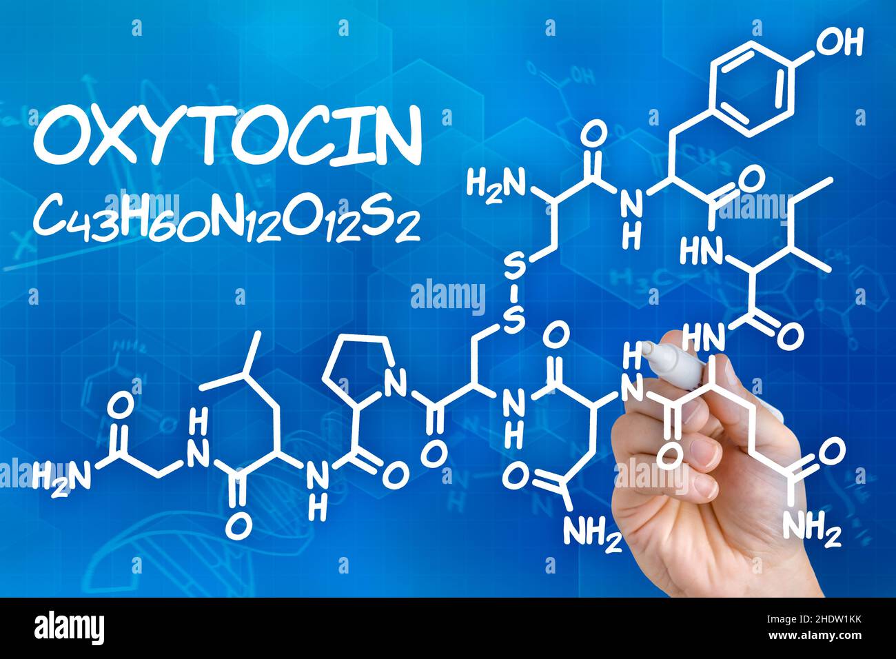 Chemie, Oxytocin, Liebeshormon, chemische Eigenschaften Stockfoto