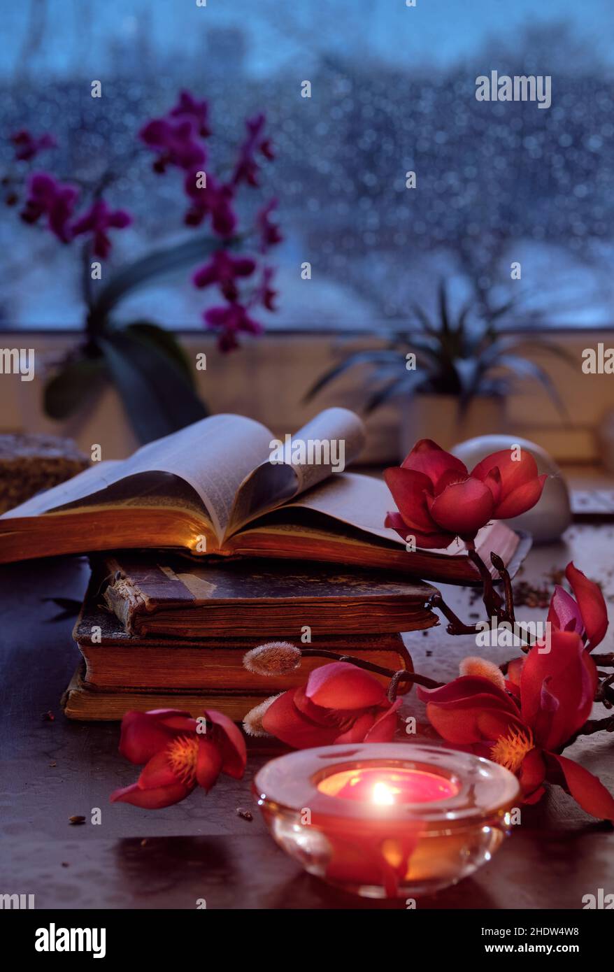 Winterzeit mit Kerze auf Stapel alter Bücher. Sonnenuntergangsfenster mit orangefarbenem Glanz, rosa und fuchsiafarbenen Orchideen und Magnolienblüten, Teekerze. Romantisch Stockfoto