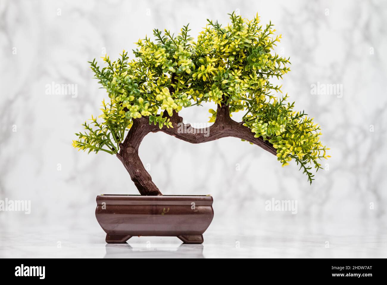 Künstlich, Bonsai-Baum, Künstliche, Bonsai, Bonsai-Bäume Stockfoto
