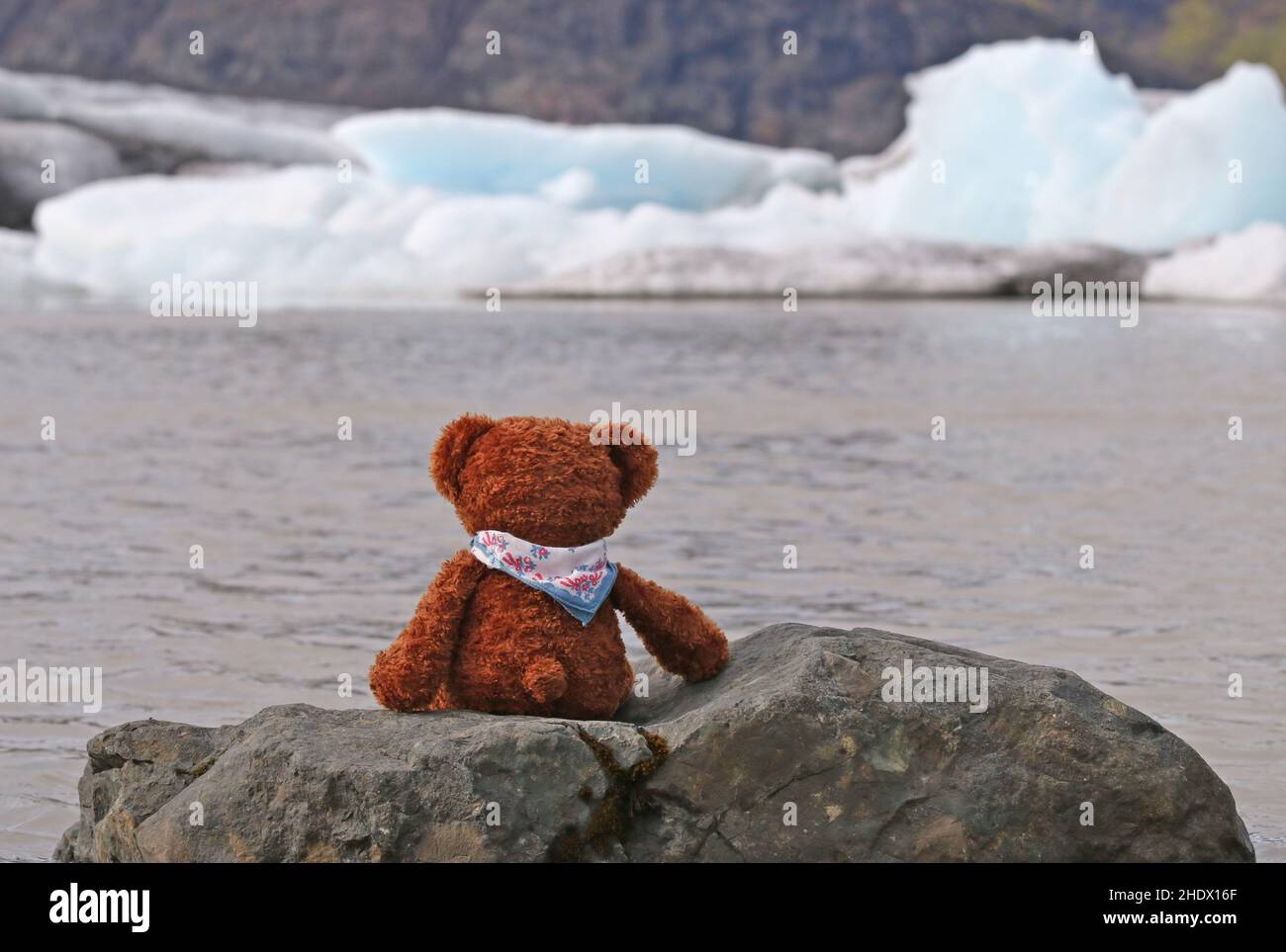 Einsam, island, Teddybär, Lonelies, isländer, teddybären Stockfoto