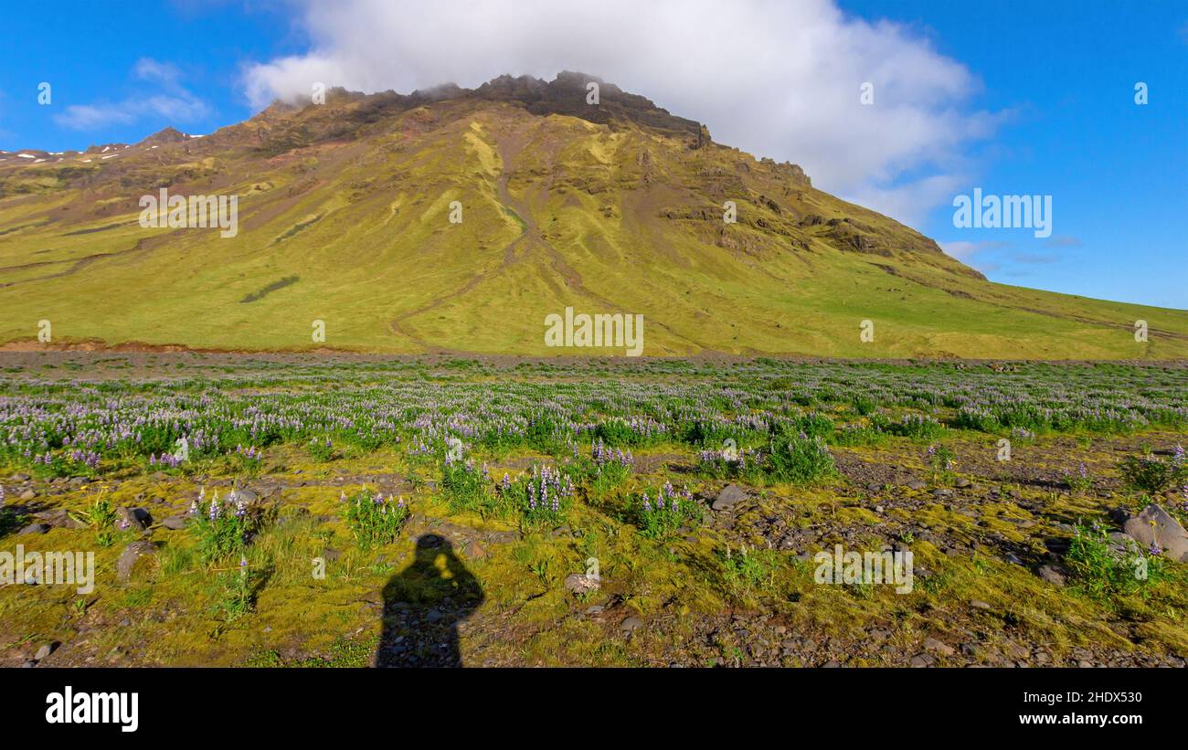 Fotografie, island, Fotografien, isländer Stockfoto