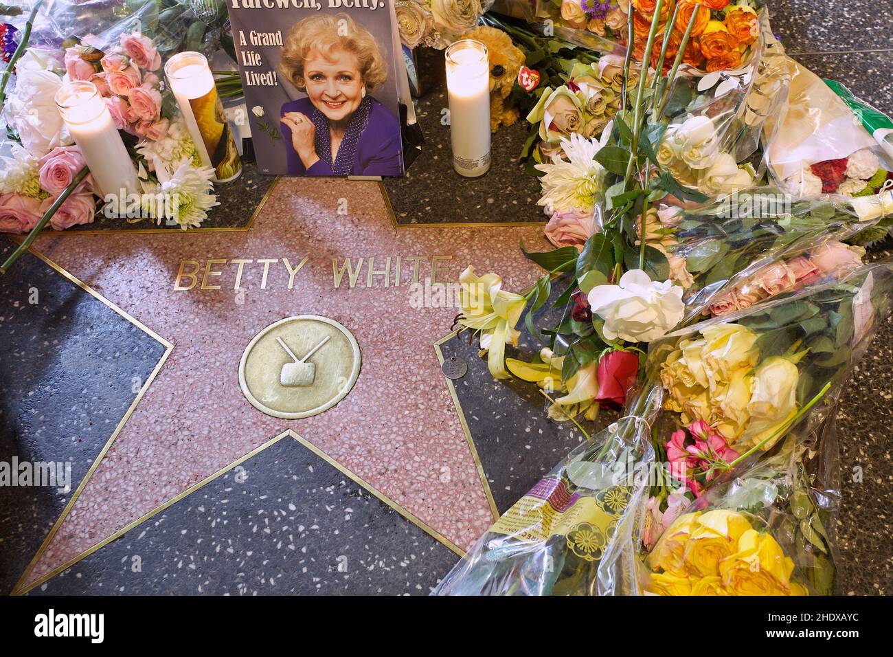Betty White's Denkmal auf dem Hollywood Walk of Fame Stockfoto