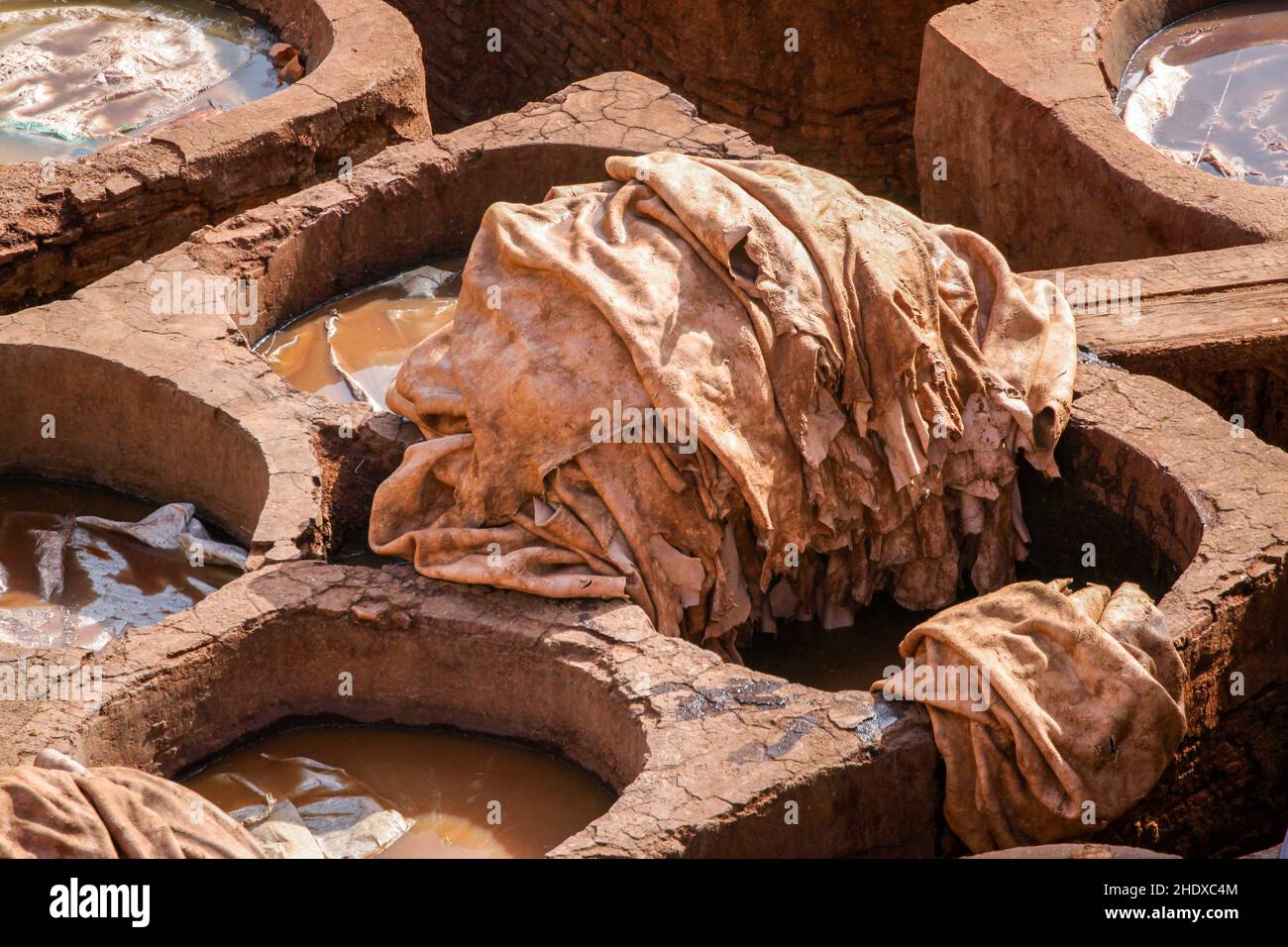 marokko, Gerberei, marokkaner, Gerbereien Stockfoto