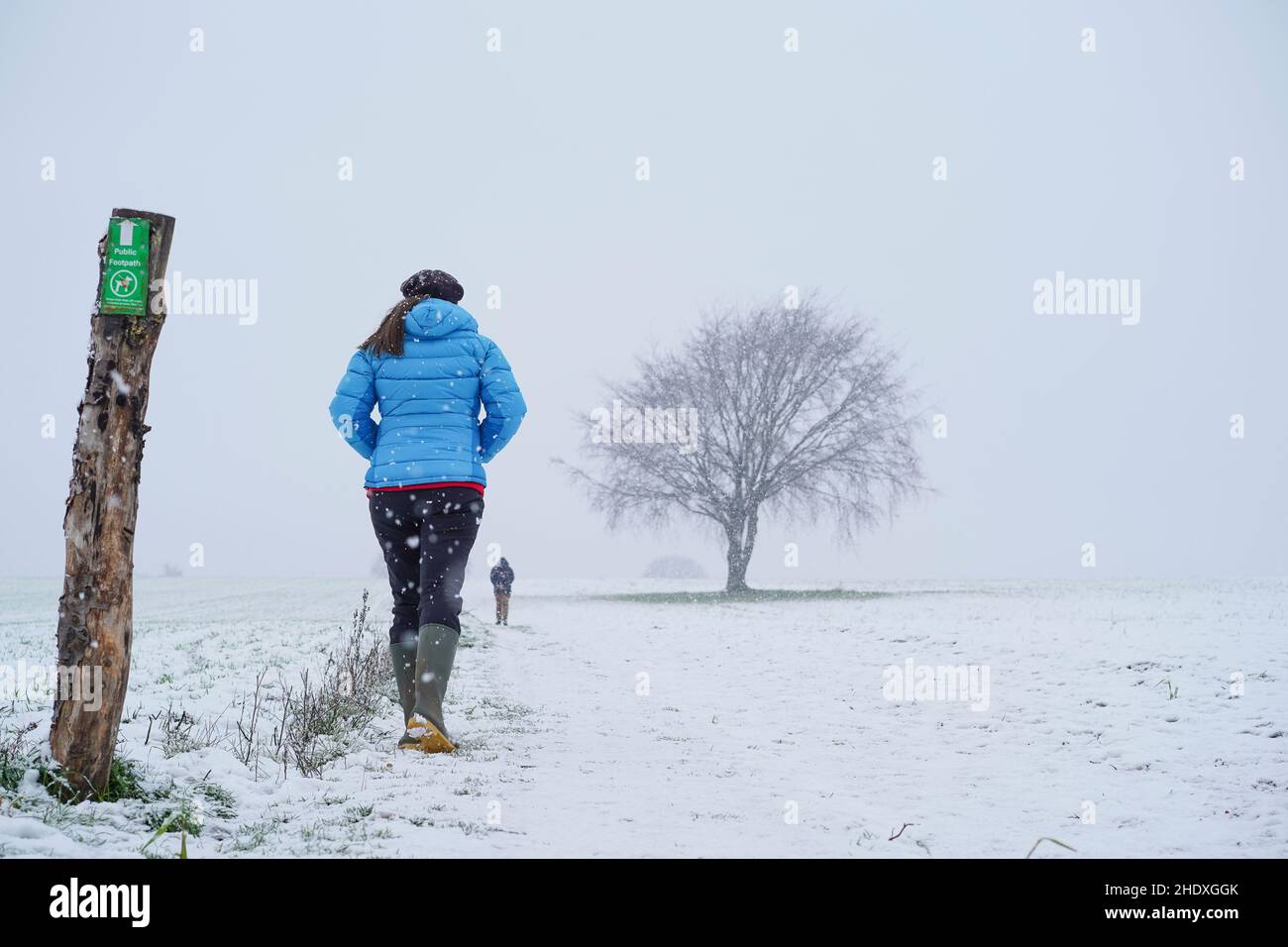 Rückansicht einer Frau in Gummistiefel, Wintermantel und Hut, die über das Landschaftsfeld (mit Baum im Hintergrund) läuft, während Schnee fällt. Stockfoto