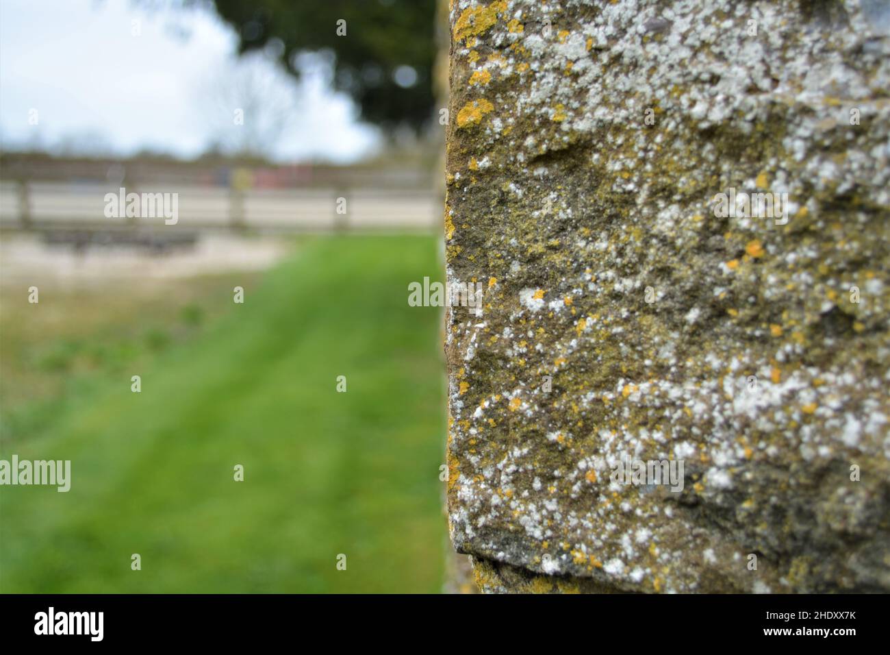 Strukturierte Steinmauer mit Blick auf den Hof. Stockfoto