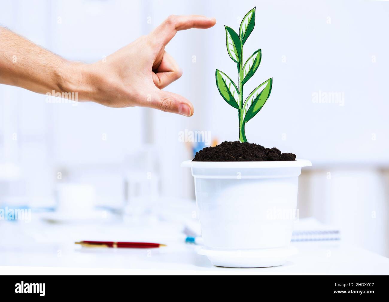 Pflanze, Wachstum, Pflege, Pflanzen, Wachstum, Aufstieg Stockfoto
