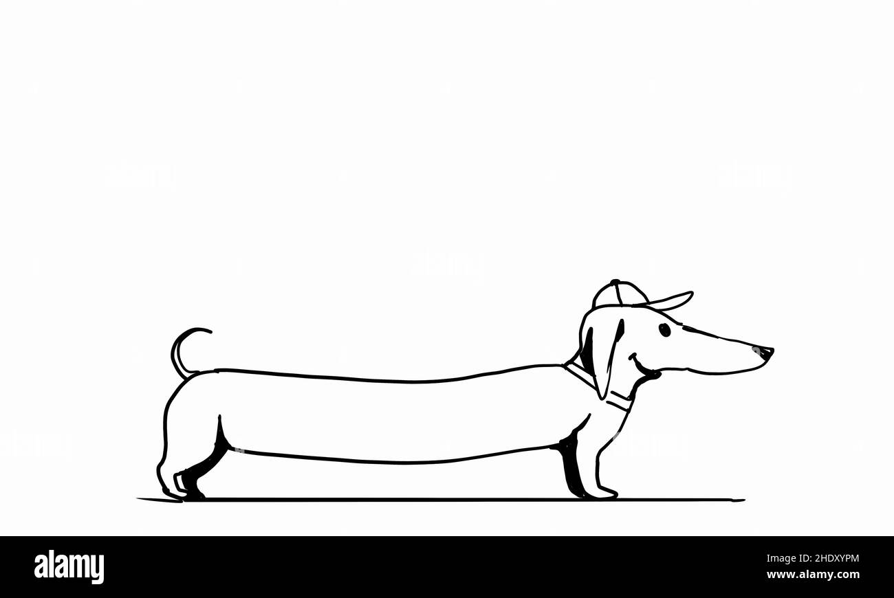 Kappe, Dackel, Kappen, Dackel Stockfoto