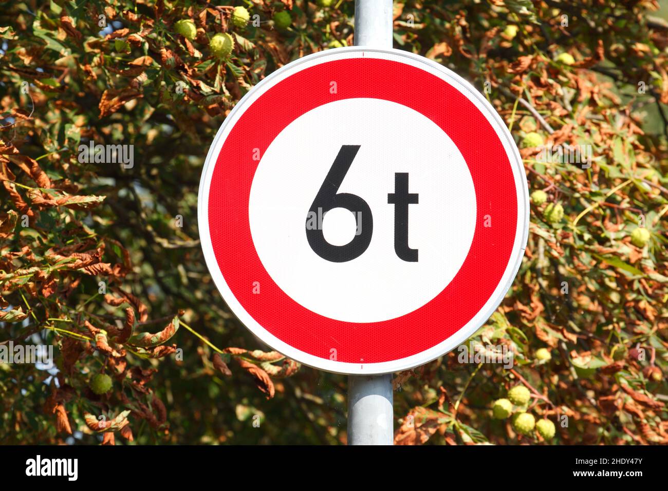 Fahren verboten, Fahren verboten Stockfoto