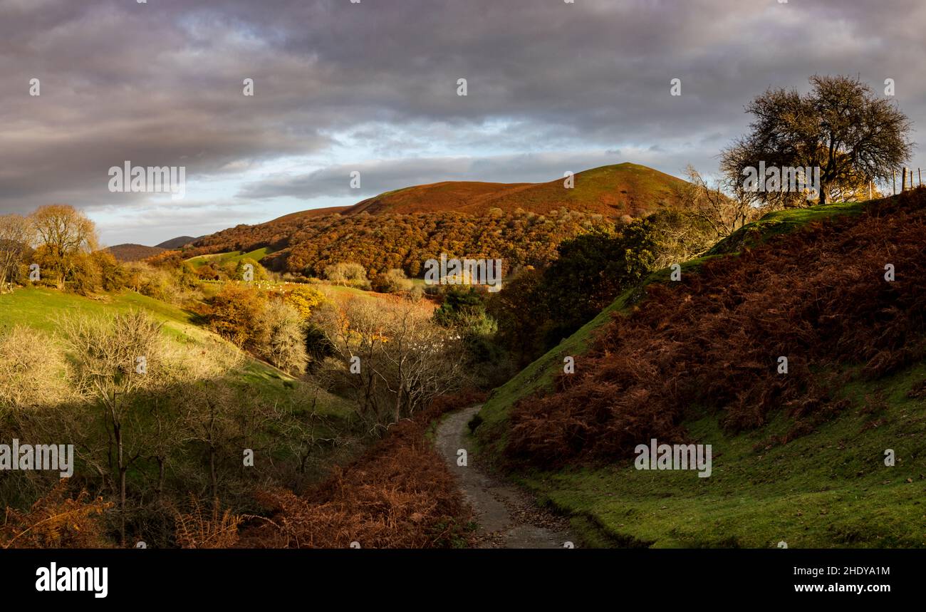 Shropshire Hügel Stockfoto