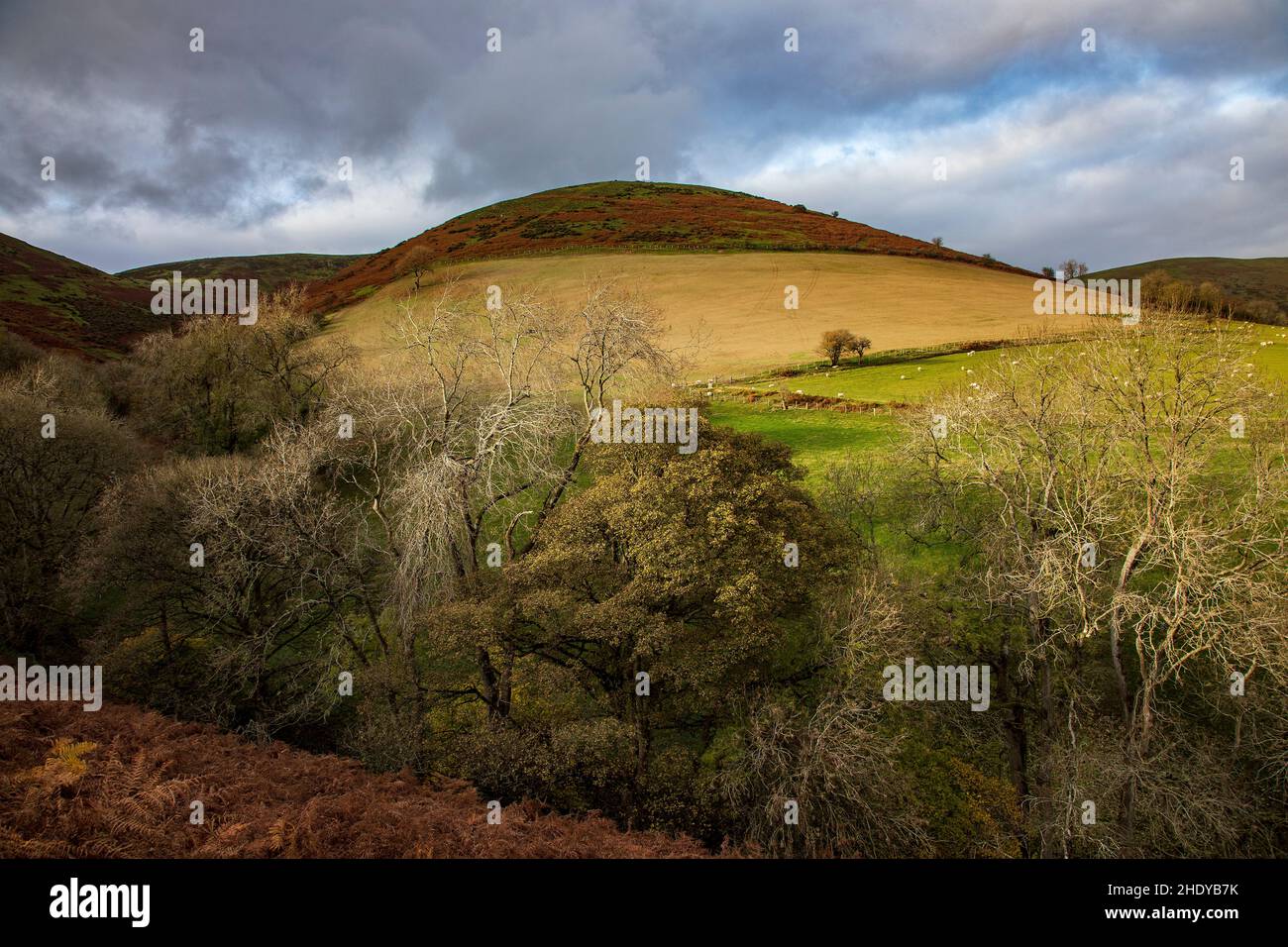 Shropshire Hügel Stockfoto