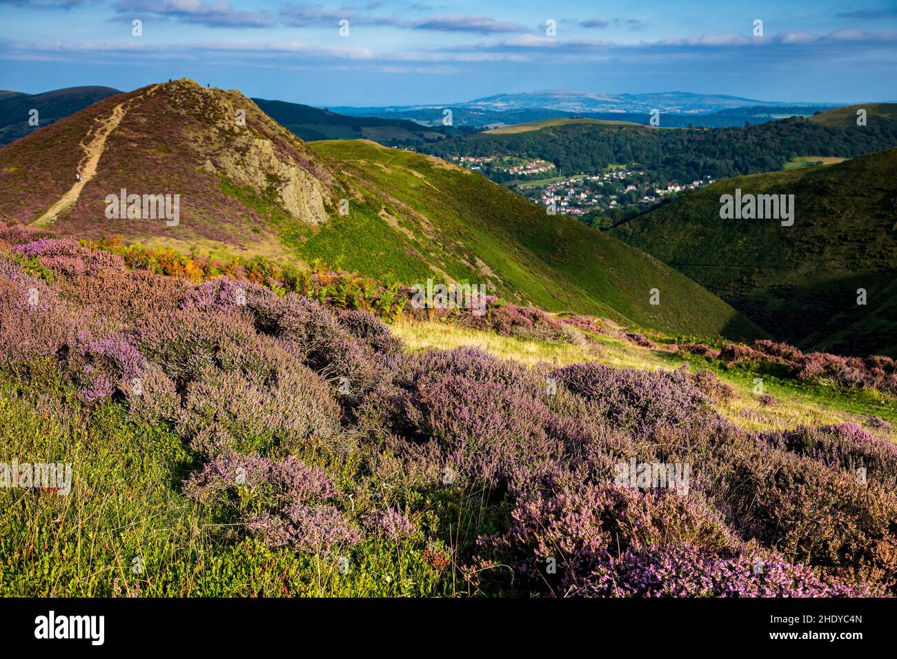 Shropshire Hügel Stockfoto