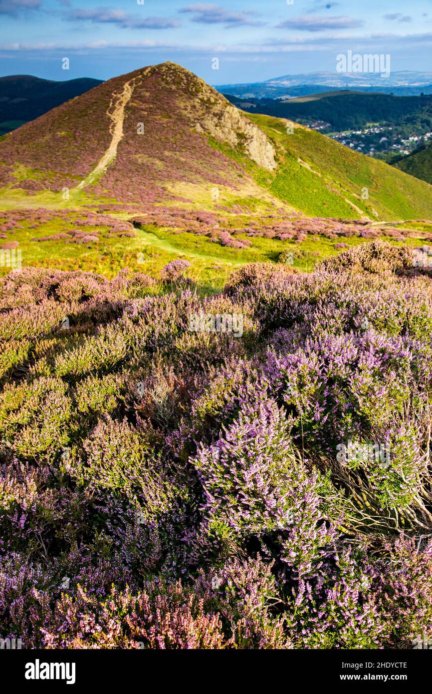 Shropshire Hügel Stockfoto