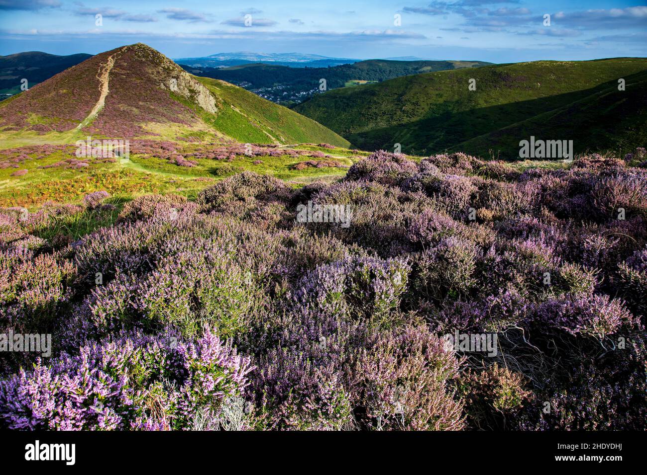 Shropshire Hügel Stockfoto