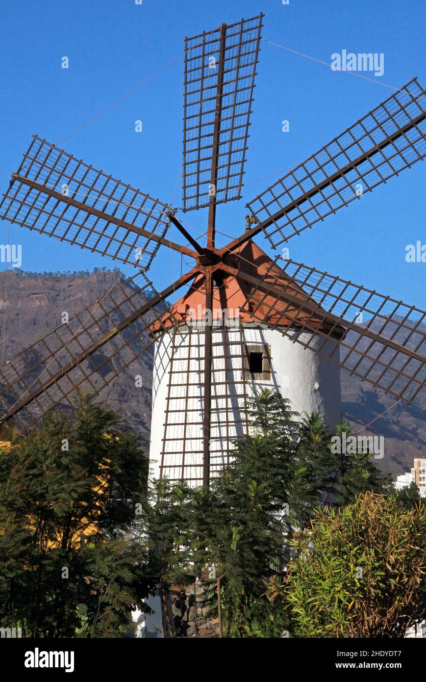 Windmühle, kanarienvögel, Windmühlen, gran canarias, große Kanarienvögel Stockfoto