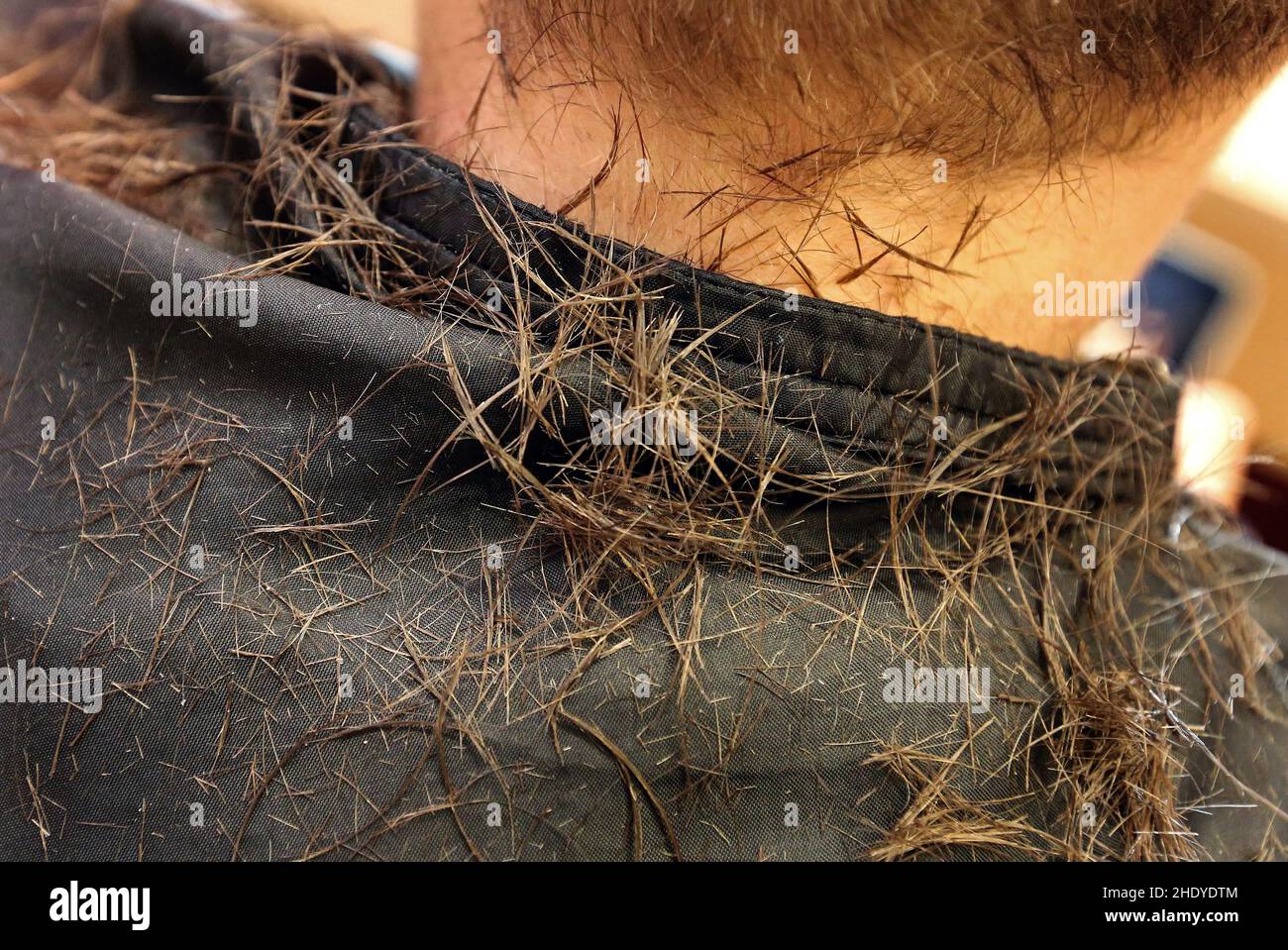 Haare, Friseur, getrennt, Haare, Friseure, Separateds Stockfoto